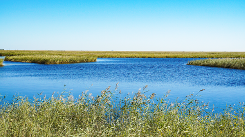 工信部和國(guó)家能源局印發(fā)重磅文件、全國(guó)統(tǒng)一電力市場(chǎng)建設(shè)邁上新臺(tái)階、廣東省關(guān)于獨(dú)立儲(chǔ)能電站試行電費(fèi)補(bǔ)償機(jī)制等有關(guān)事項(xiàng)的通知……