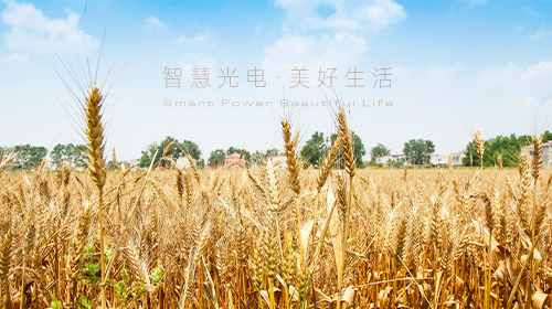 我國首部能源法正式問世、國家能源局/工信部最新通知、?支持企業(yè)引進光伏技術(shù)、虛擬電廠全電量參與現(xiàn)貨電能量交易出清…… - 拷貝