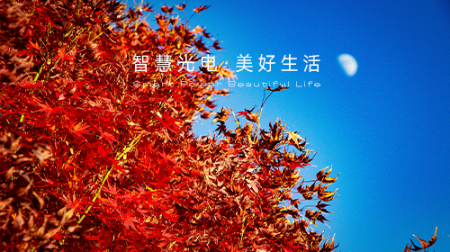 國家能源局發(fā)布指導(dǎo)意見和新批次名單、國家統(tǒng)計局解讀11月份CPI和PPI數(shù)據(jù)、?新一輪儲能政策頒布……