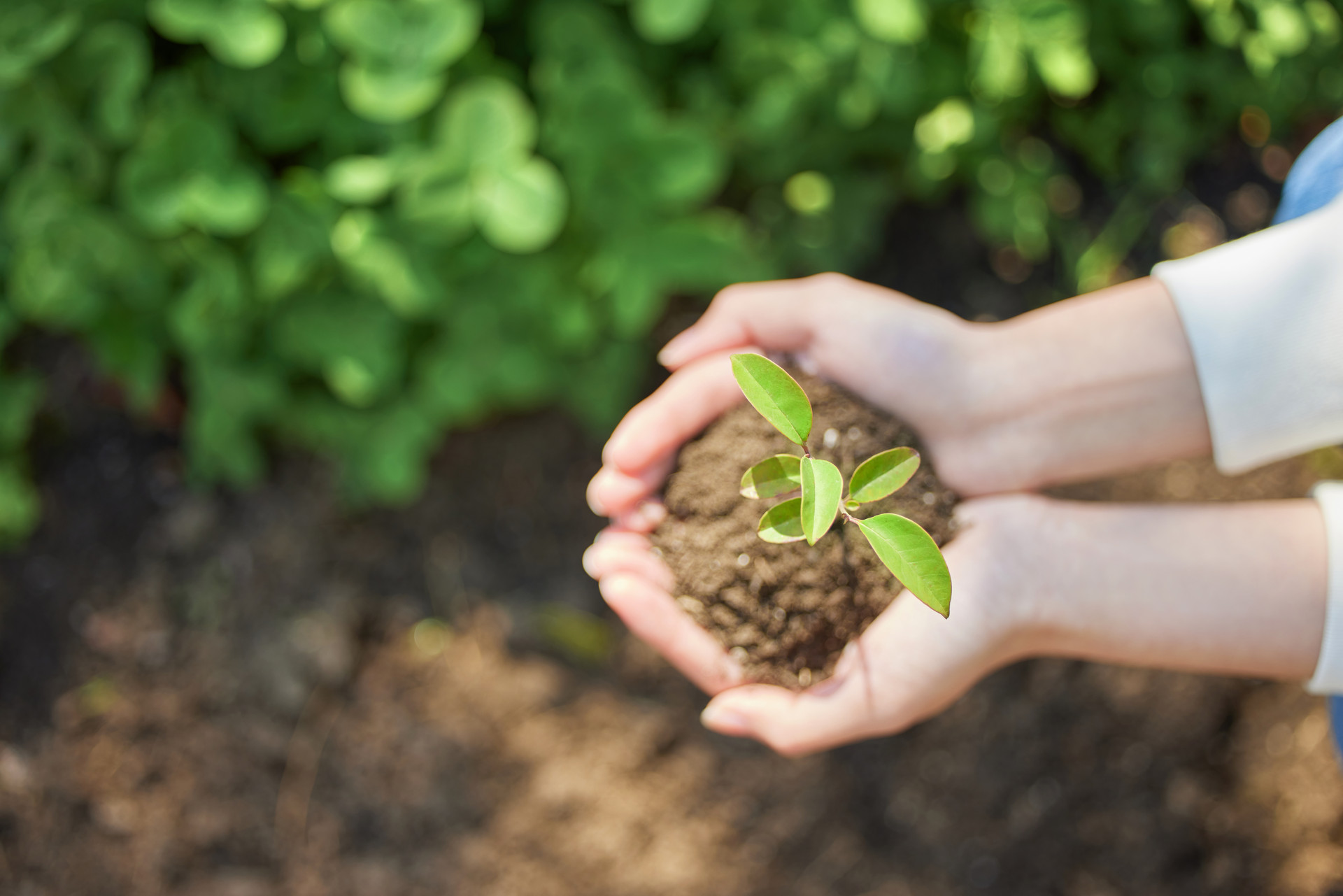 履行社會責任，助力鄉村振興?
