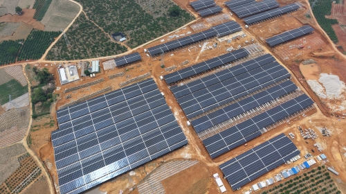 廣西扶綏珈偉智慧牧光互補30MW分布式光伏項目